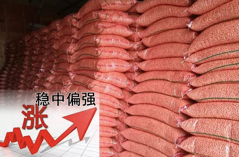 花生價(jià)格持續偏強，需要訂貨的請提前安排