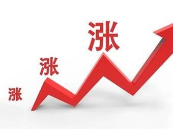 花生價(jià)格普遍上漲，漲幅在100-200每噸